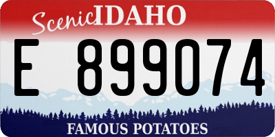 ID license plate E899074