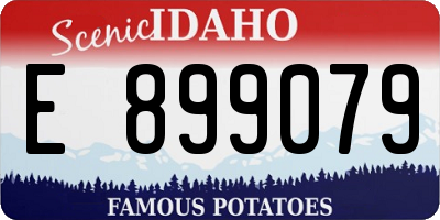 ID license plate E899079