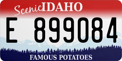 ID license plate E899084