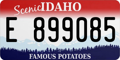 ID license plate E899085