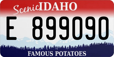 ID license plate E899090