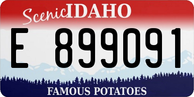 ID license plate E899091