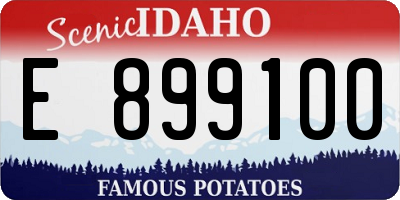 ID license plate E899100