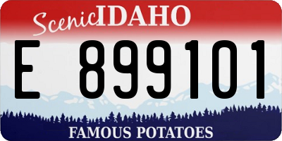 ID license plate E899101
