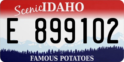 ID license plate E899102