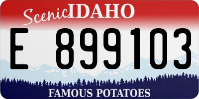ID license plate E899103