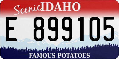 ID license plate E899105