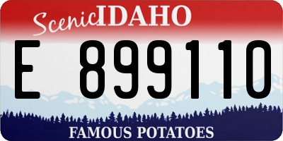 ID license plate E899110