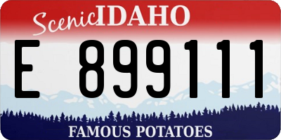 ID license plate E899111
