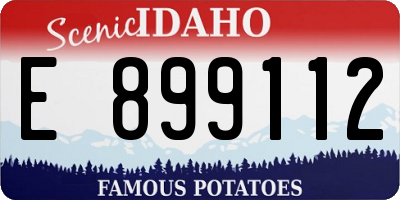 ID license plate E899112