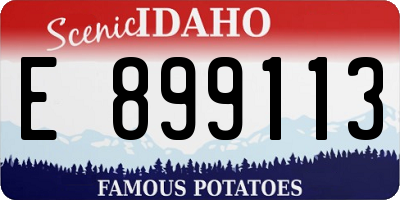 ID license plate E899113