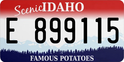 ID license plate E899115