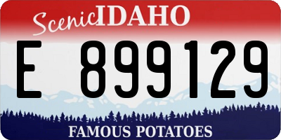 ID license plate E899129