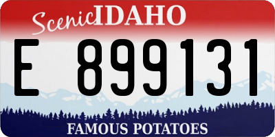 ID license plate E899131