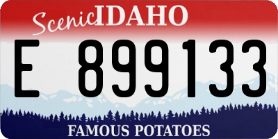 ID license plate E899133