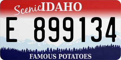 ID license plate E899134