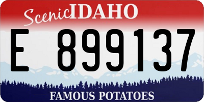 ID license plate E899137