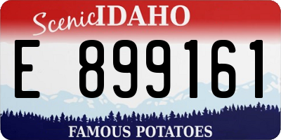 ID license plate E899161