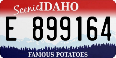 ID license plate E899164