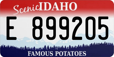 ID license plate E899205