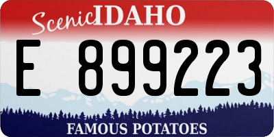 ID license plate E899223