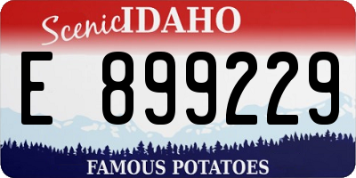 ID license plate E899229