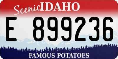 ID license plate E899236
