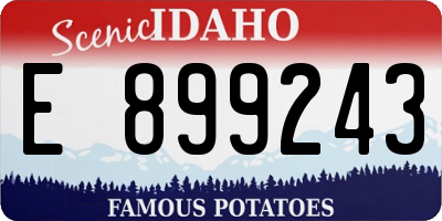 ID license plate E899243