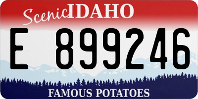 ID license plate E899246