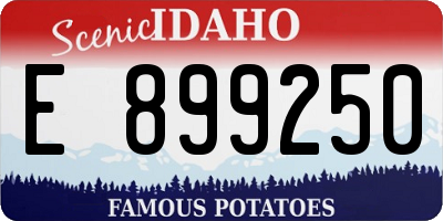 ID license plate E899250