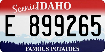 ID license plate E899265
