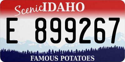 ID license plate E899267