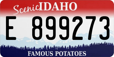 ID license plate E899273