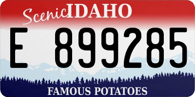 ID license plate E899285