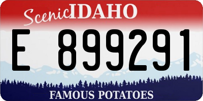 ID license plate E899291