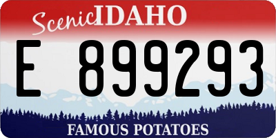 ID license plate E899293