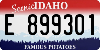 ID license plate E899301