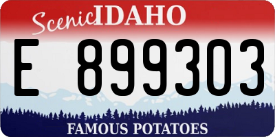 ID license plate E899303