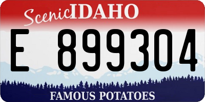 ID license plate E899304