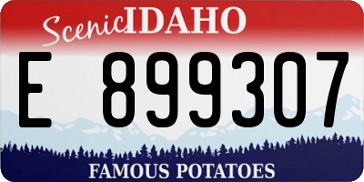 ID license plate E899307