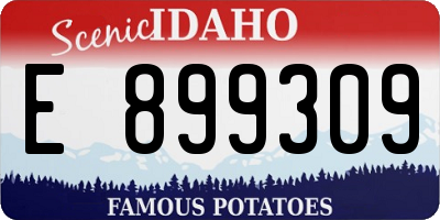 ID license plate E899309