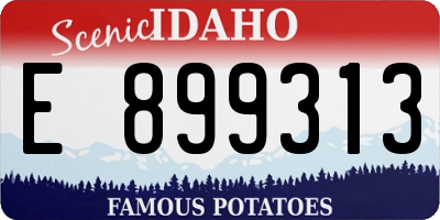 ID license plate E899313