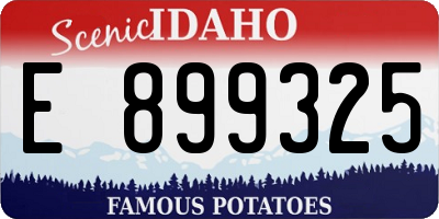 ID license plate E899325