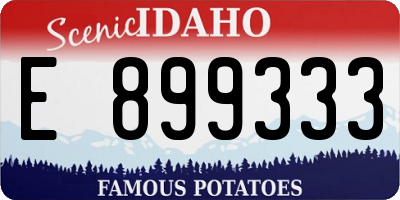 ID license plate E899333