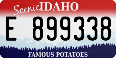 ID license plate E899338