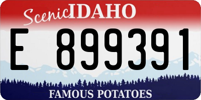ID license plate E899391