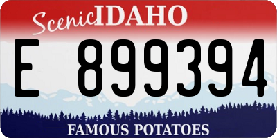 ID license plate E899394