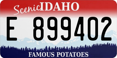 ID license plate E899402