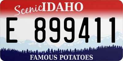 ID license plate E899411