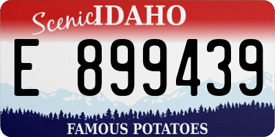 ID license plate E899439